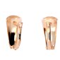 Kuldsed kõrvarõngad KP2193MAT_AU585AS_000_PINK-1,96- hind ja info | Kõrvarõngad | kaup24.ee