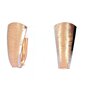 Kuldsed kõrvarõngad KP2193MAT_AU585AS_000_PINK-1,96- цена и информация | Kõrvarõngad | kaup24.ee