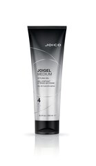Средство для укладки волос JOICO Style And Finish Joigel Medium 250 мл цена и информация | Средства для укладки волос | kaup24.ee