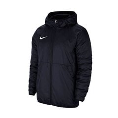 Куртка мужская Nike Team Park 20 Fall CW6157-451 цена и информация | Мужские куртки | kaup24.ee
