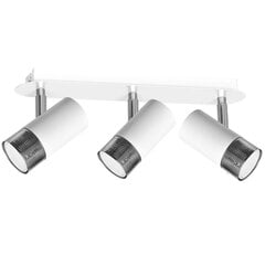 Milagro потолочный светильник Dani White/Chrome цена и информация | Потолочные светильники | kaup24.ee