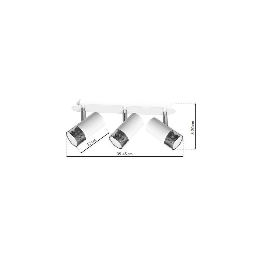 Laevalgusti Milagro Dani White/Chrome hind ja info | Laelambid | kaup24.ee