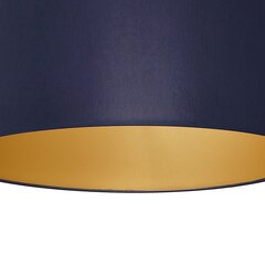 Laevalgusti Milagro Ben Navy Blue/Gold цена и информация | Потолочные светильники | kaup24.ee