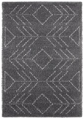 Mint Rugs vaip Retro Toboso 120x170 cm hind ja info | Vaibad | kaup24.ee