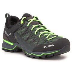 Походные ботинки для мужчин Salewa Ms Mtn Trainer Lite GTX цена и информация | Мужские ботинки | kaup24.ee