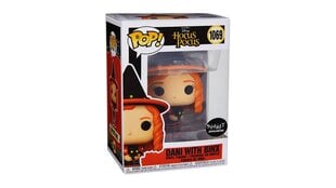 Funko POP! Hocus Pocus Dani with Binx Exclusive hind ja info | Fännitooted mänguritele | kaup24.ee