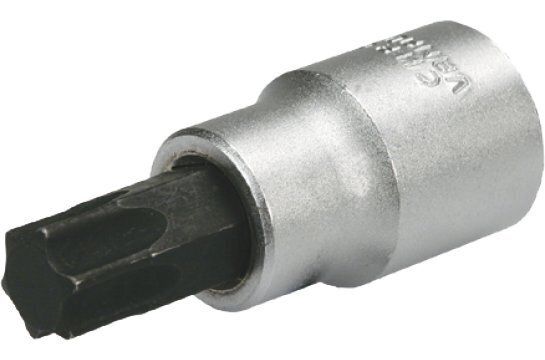 Padrun Torx 1/2" TX40 x 60mm цена и информация | Käsitööriistad | kaup24.ee