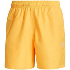 Meeste ujumispüksid Adidas Solid Swim Shorts M GU0305, kollased hind ja info | Ujumispüksid, shortsid | kaup24.ee