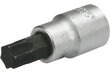 Padrun Torx 1/2" TX55 x 60mm цена и информация | Käsitööriistad | kaup24.ee