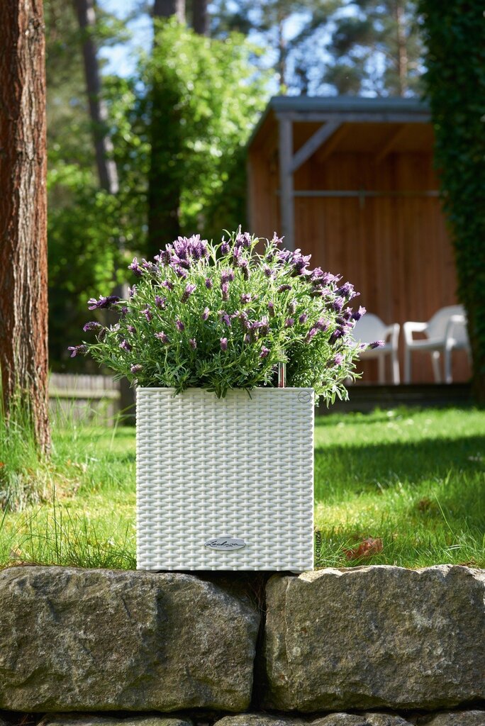 Lechuza lillepott Cube Cottage 30 cm hind ja info | Dekoratiivsed lillepotid | kaup24.ee