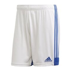 Шорты мужские Adidas Tastigo 19 Shorts M FI6355, белые цена и информация | Мужские шорты | kaup24.ee