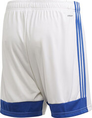 Шорты мужские Adidas Tastigo 19 Shorts M FI6355, белые цена и информация | Мужские шорты | kaup24.ee
