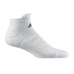 Мужские носки Adidas Alphaskin LC Ankle M CV7695, белые цена и информация | Meeste sokid | kaup24.ee