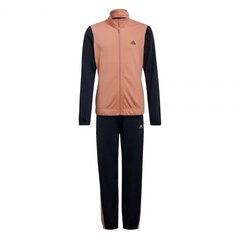 Tüdrukute spordikomplekt Adidas Essentials Tracksuit Jr GS0188, roosa цена и информация | Комплекты для девочек | kaup24.ee