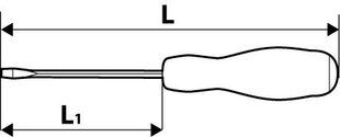 Kruvikeeraja lapik 8x250mm löödava otsaga hind ja info | Käsitööriistad | kaup24.ee