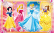 Pusle Clementoni Disney Princess, 2x60 detaili цена и информация | Pusled | kaup24.ee