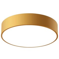Laevalgusti Classic Gold, 40 cm цена и информация | Потолочные светильники | kaup24.ee