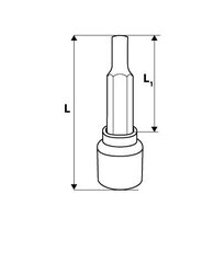 Padrun torx 1/2'' TX55, 100mm hind ja info | Käsitööriistad | kaup24.ee