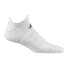 Meeste sokid Adidas Alphaskin LC Ankle No-Show M CV7693, valged hind ja info | Meeste sokid | kaup24.ee