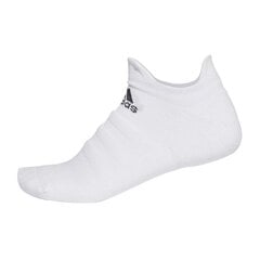 Meeste sokid Adidas Alphaskin LC Ankle No-Show M CV7693, valged цена и информация | Мужские носки | kaup24.ee