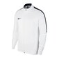 Poiste džemper Nike Academy 18 Track Jr 893751-100, valge цена и информация | Poiste kampsunid, vestid ja jakid | kaup24.ee