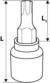 Padrun torx 1/2'' TX55, 55mm цена и информация | Käsitööriistad | kaup24.ee