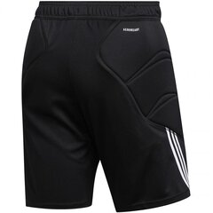 Спортивные шорты для мужчин Adidas Tierro FT1454 цена и информация | Мужская спортивная одежда | kaup24.ee