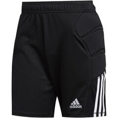 Meeste lühikesed spordipüksid Adidas Tierro FT1454 hind ja info | Meeste spordiriided | kaup24.ee