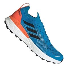 Мужские походные ботинки, Adidas Terrex Two Ultra Parley M EF2134 синие цена и информация | Мужские ботинки | kaup24.ee