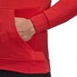 Meeste džemper Adidas Terrex Logo M FJ5036, punane hind ja info | Meeste pusad | kaup24.ee
