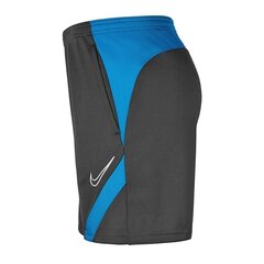 Laste lühikesed spordipüksid Nike Dry Academy Pro Jr BV6946- 066 (58329) hind ja info | Poiste lühikesed püksid | kaup24.ee