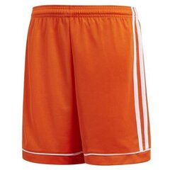 Спортивные шорты Adidas Squadra 17 Junior BK4775, 60767 цена и информация | Poiste lühikesed püksid | kaup24.ee