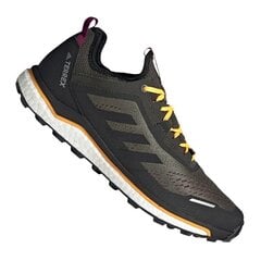 Туристическая обувь для мужчин Adidas Terrex Agravic Flow M FV2411, бирюзовая цена и информация | Мужские ботинки | kaup24.ee