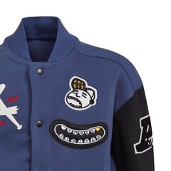 Куртка для мальчиков, Adidas Collegiate Jr FL2808 цена и информация | Куртки для мальчиков | kaup24.ee
