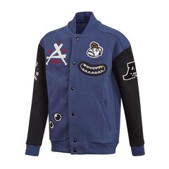Куртка для мальчиков, Adidas Collegiate Jr FL2808 цена и информация | Куртки для мальчиков | kaup24.ee
