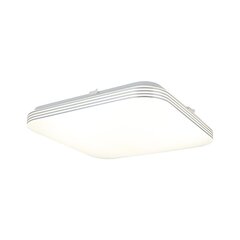 Eko-Light led laevalgusti AJAX 10 W цена и информация | Потолочные светильники | kaup24.ee