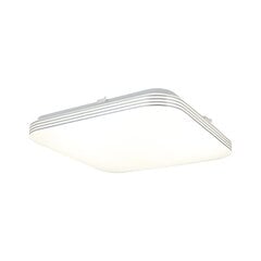 Eko-Light led laevalgusti AJAX 17 W цена и информация | Потолочные светильники | kaup24.ee