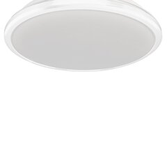 Milagro потолочный LED светильник Terma White 28 W цена и информация | Потолочные светильники | kaup24.ee