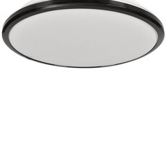 Eko-Light потолочный LED светильник Terma Black 28 W цена и информация | Потолочные светильники | kaup24.ee