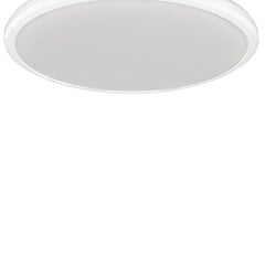 Milagro потолочный LED светильник Terma White 18 W цена и информация | Потолочные светильники | kaup24.ee