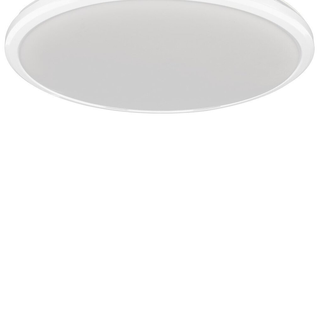 Milagro led laevalgusti Terma White 18 W цена и информация | Laelambid | kaup24.ee