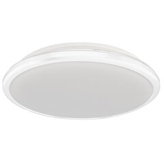 Milagro потолочный LED светильник Terma White 18 W цена и информация | Потолочные светильники | kaup24.ee