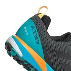 Meeste matkajalatsid, Adidas Terrex Skychaser LT GTX M FX0148, grafiit/sinine hind ja info | Meeste kingad, saapad | kaup24.ee