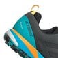 Meeste matkajalatsid, Adidas Terrex Skychaser LT GTX M FX0148, grafiit/sinine цена и информация | Meeste kingad, saapad | kaup24.ee