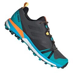 Meeste matkajalatsid, Adidas Terrex Skychaser LT GTX M FX0148, grafiit/sinine hind ja info | Meeste kingad, saapad | kaup24.ee