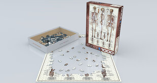 Пазл Eurographics, 6000-3970, The Skeletal System, 1000 шт. цена и информация | Пазлы | kaup24.ee