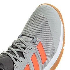 Кеды мужские Adidas Court Team Bounce M EF2643 цена и информация | Кроссовки для мужчин | kaup24.ee