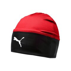 Meeste müts Puma 022355-01 hind ja info | Meeste sallid, mütsid ja kindad | kaup24.ee