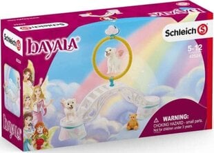 Летающие львята на тренировке Schleich Bayalad цена и информация | MUST Металлическая бутылочка с Ярким рисунком (без BPA) (500ml) для мальчиков от 3+ лет Серая с Машинкой | kaup24.ee