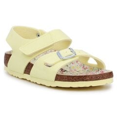 Сандалии детские Birkenstock Colorado Kids BS 1019683, желтые цена и информация | Детские сандали | kaup24.ee